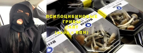 стаф Алексин