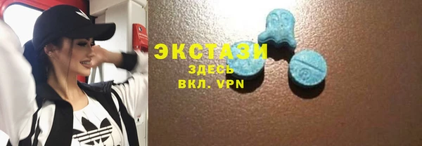 стаф Алексин