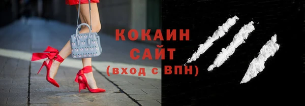 стаф Алексин
