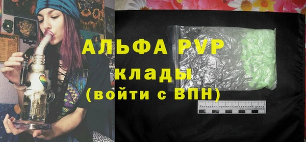 стаф Алексин