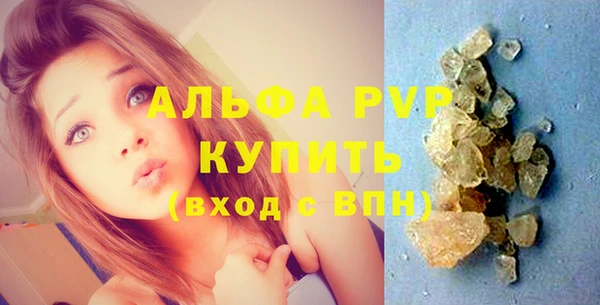 стаф Алексин