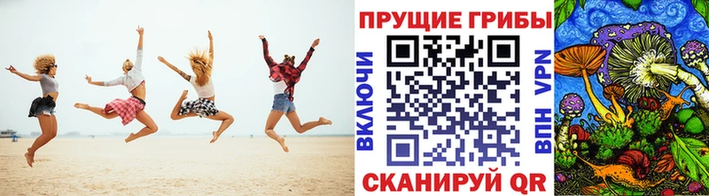 магазин  наркотиков  Нытва  Галлюциногенные грибы мухоморы 